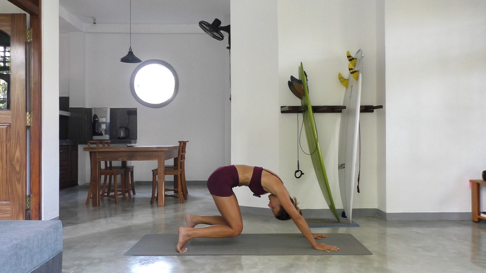 PP2 Brazos y abdominales